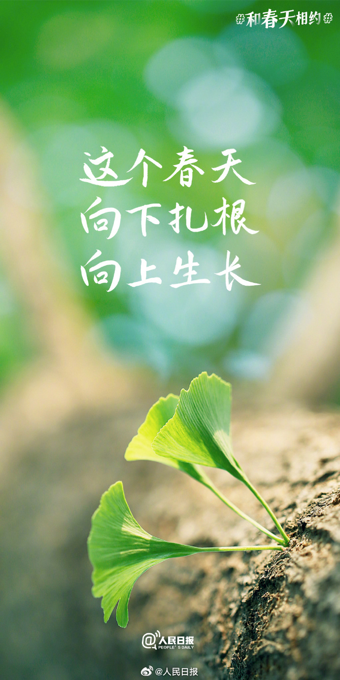 手机竖版励志壁纸高清十大免费壁纸软件手机版-第1张图片-太平洋在线下载