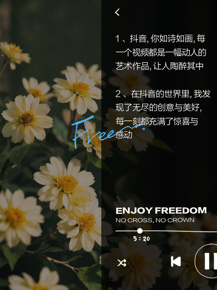 手机视频大全文艺版手机视频制作软件大全-第1张图片-太平洋在线下载